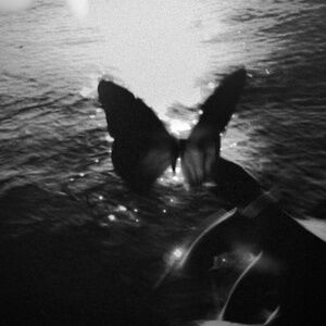 Meet your Posher, maya